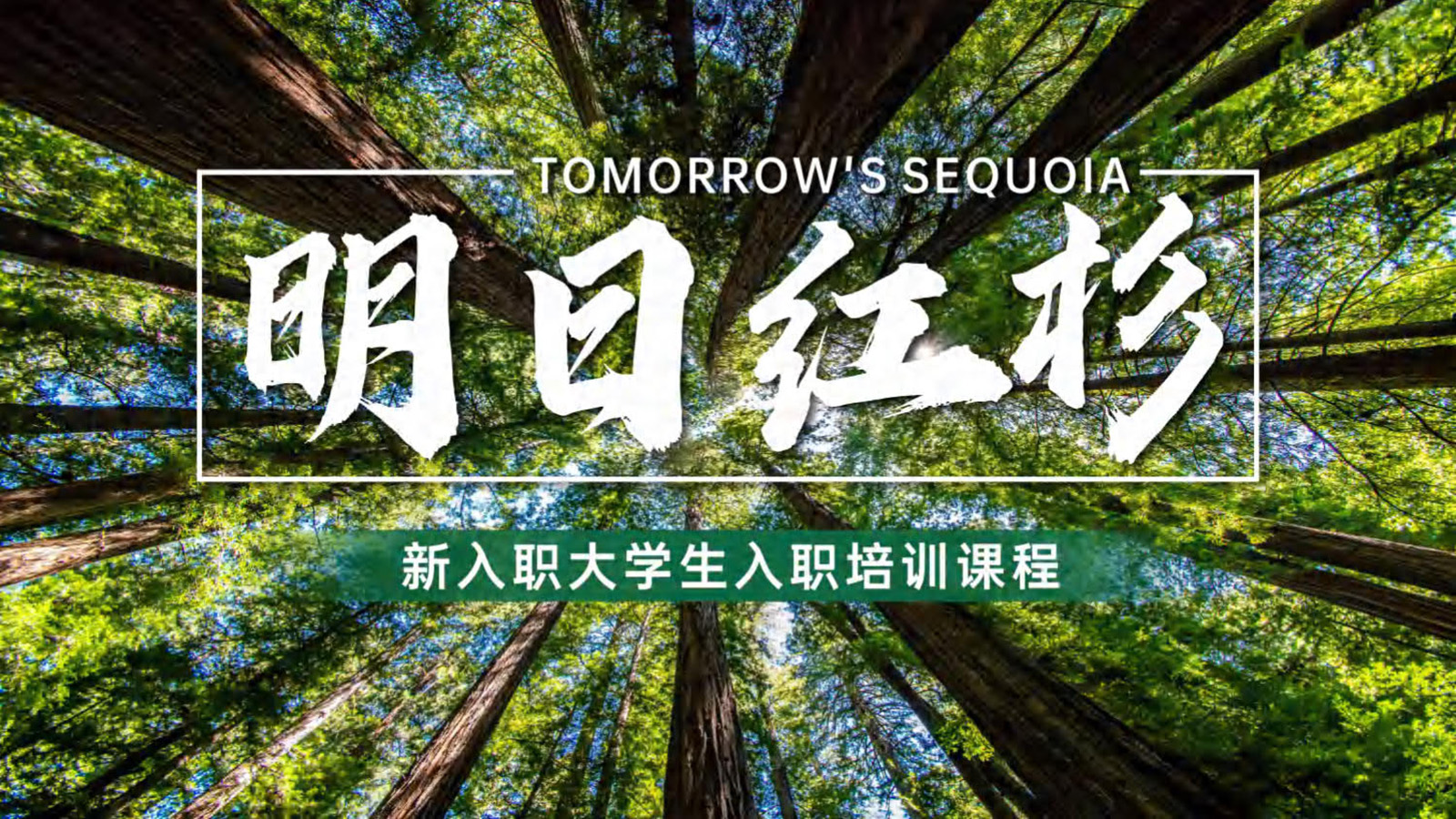 明日紅杉（新入職大學(xué)生培訓(xùn)）